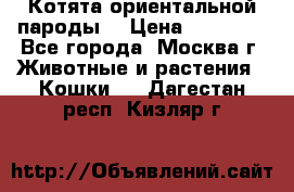 Котята ориентальной пароды  › Цена ­ 12 000 - Все города, Москва г. Животные и растения » Кошки   . Дагестан респ.,Кизляр г.